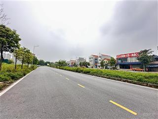 Bán đất trung đông nhật tân mặt đường chim cò