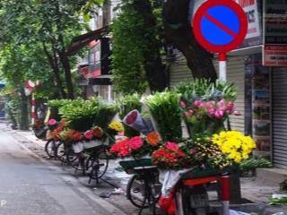 Độc hiếm mặt phố hàng đào đẳng cấp giới tinh hoa  vài bước ra qt đông kinh nghĩa thục  hoàn kiếm