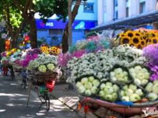 Mặt phố hàng cân  tt phố cổ  tây ta tấp nập  kd mọi loại hình  độc  hiếm  đẳng cấp tỉnh hoa