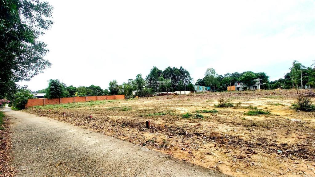 Bán đất tại lâm trường, lai hưng, bàu bàng, 1,05 tỷ, 500m2, thích hợp xây dựng trọ đầu tư.