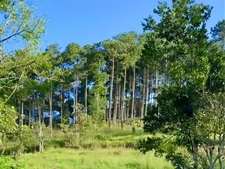 Bán gấp sổ đất 2 mặt tiền rộng 150m2 full thổ cư giá 850tr