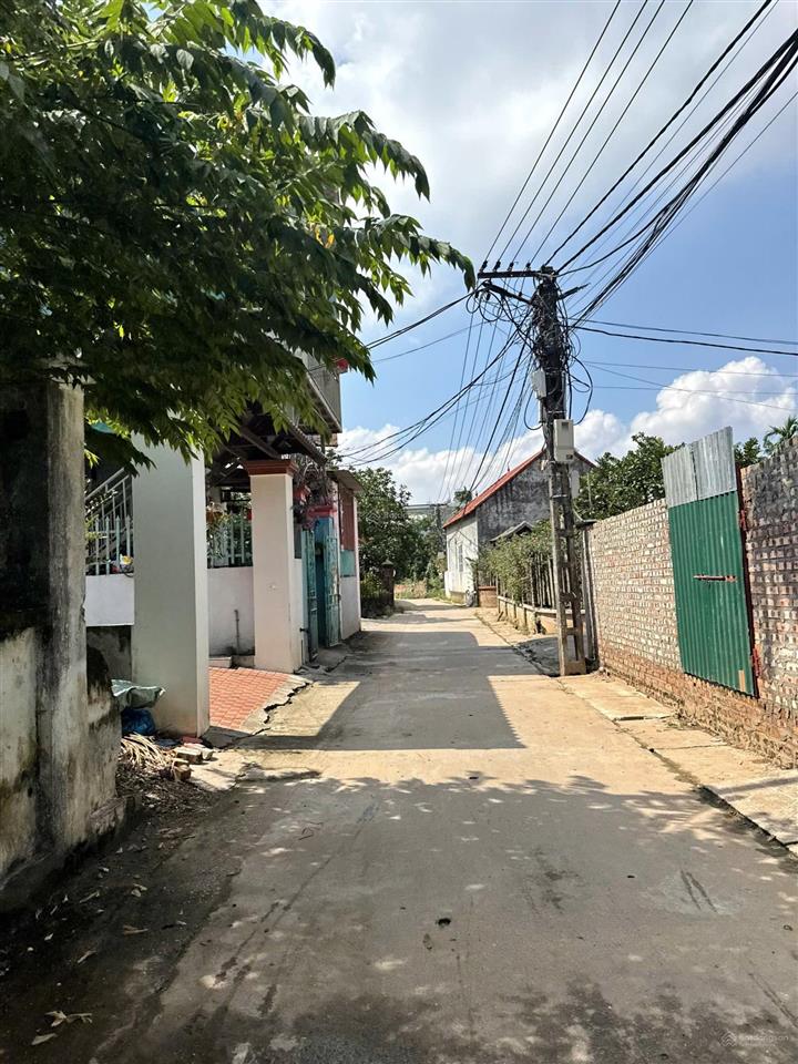 Giá hấp dẫn đất tráng việt mê linh hà nội full thổ cư diện tích 116,1m mặt tiền 9,58m đường 4,5m