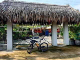 Bán nhà vườn nghỉ dưỡng mặt sông lớn, dt 308m2. giá 3 tỷ (có hình)