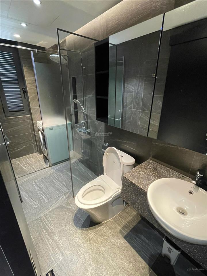 Cho thuê căn hộ cao cấp có hồ bơi gần quận 1, đường điện biên phủ, quận bình thạnh