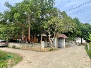 Bán đất nhà vườn dt 807m2/3ty2, sổ sẵn, có 100m thổ cư, ngay tuyến cao tốc bến lứclong thành, ngộp