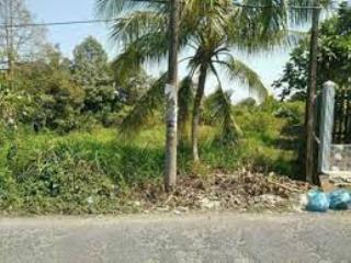 Cần bán gấp lô đất nhà vườn 4.200m² tại phong điền, cần thơ, vị trí cực đẹp và tiện lợi!