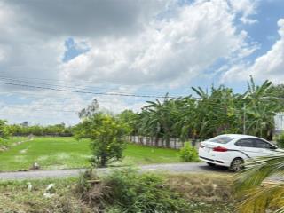 Bán đất nền tại xã tân trung, gò công, tiền giang, 3 triệu / m2, 2378 m2