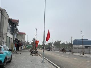 Tàm xá  đông anh hn  vị trí kim cương tiềm năng sinh lời cực lớn, dt 90m2 giá chỉ 10,3 tỷ