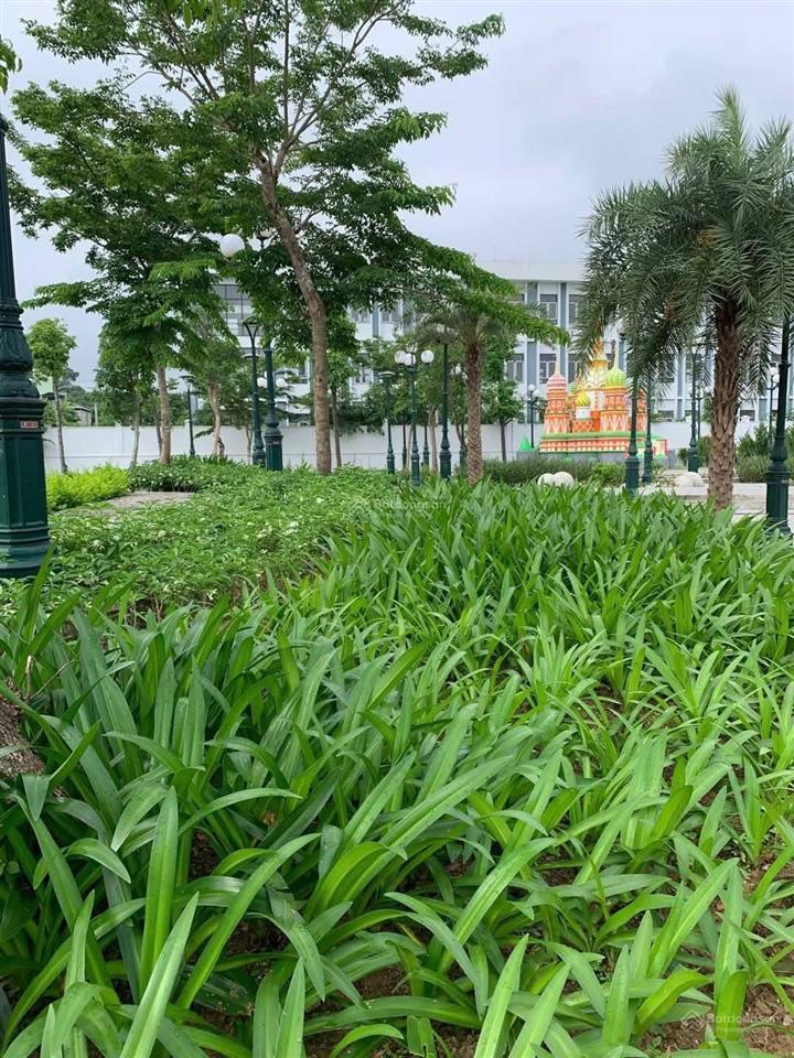 Chính chủ cần bán biệt thự view sông đẹp nhất dự án tnr stars bỉm sơn, thanh hoá. 28 triệu / m2