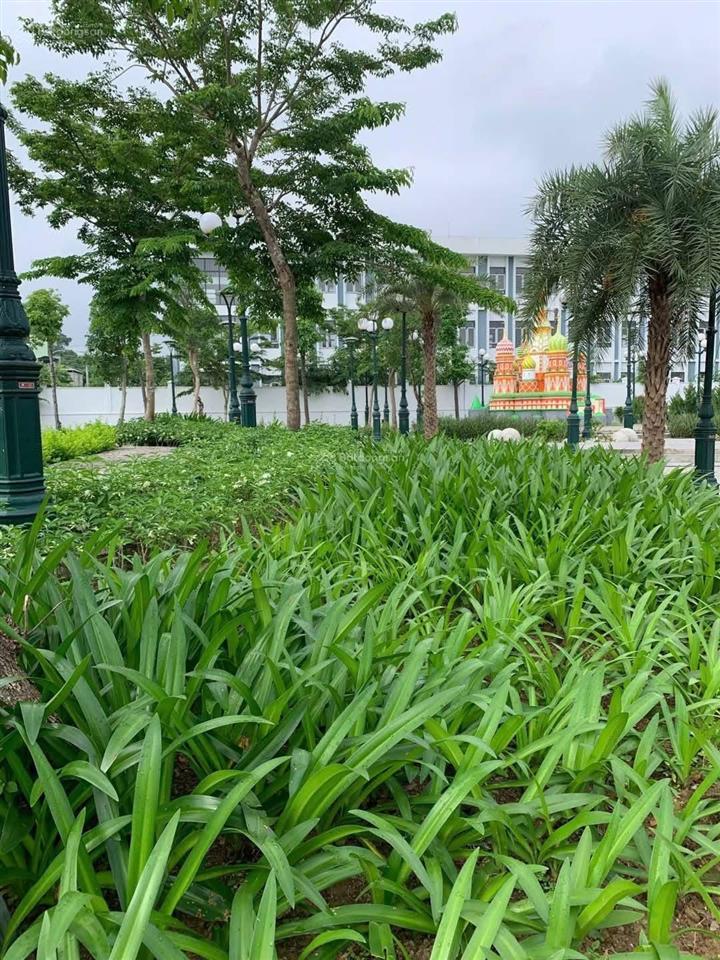 Bán quỹ đất đẹp nhất dự án tnr stars bỉm sơn, p. lam sơn, thanh hóa. giá đầu tư, rẻ nhất thị trường