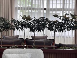 Biệt thự đơn lập  lô góc vinimperia  đã hoàn thiện nội thất xịn sò.