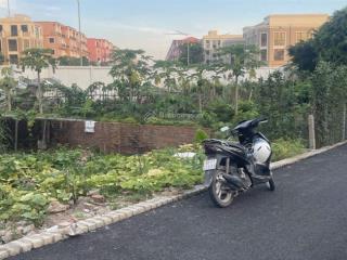 Chủ gửi bán hai lô đất tại thôn cự dũng xã như quỳnh tỉnh hưng yên diện tich 92 m2