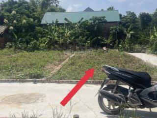 Chủ gửi lô đất lô góc hai mặt tiền tại tdp hoà đam phường thượng hồng, tỉnh hưng yên