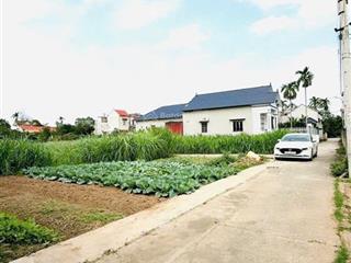 Chủ gửi 2 lô đất tại thôn tả hà xã song mai huyện kim động tỉnh hưng yên lk2 diện tích 67,7