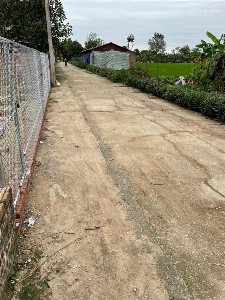 Cc bán đất đường nhạn, xuân nộn, đông anh, 78m2, mt 4,30m, đường rộng 4,5m thông, giá 62tr/m2