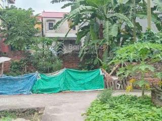 Chính chủ bán đất linh quy bắc, phú sơn, gia lâm gần chợ keo, giá chỉ 2.25 tỷ