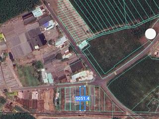 Cần bán đất 10x51mx100m2 thổ, đường nhựa thông, phước long thọ, đất đỏ  2,1 tỷ tl