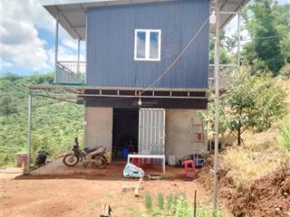 Chính chủ gửi bán 1.2ha đất sầu riêng  thôn 6, tân lâm, huyện di linh, lâm đồng giá 360tr/sào