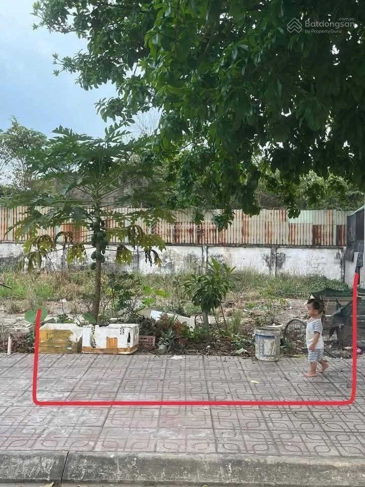 Bán gấp đất ngay đường bình thắng, dĩ an. giá 1ty790, dt 100m2 sổ hồng riêng, công chứng ngay