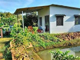 Nhơn trạch, chuyển nhượng lô đất sân vườn có nhà cấp 4. giá 3ty950, 655m2, shr. bận không chăm được