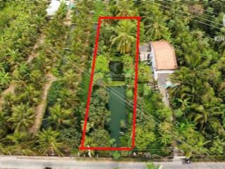 Chính chủ sang nhượng vườn trái cây lâu đời ngay lai uyên, bàu bàng. giá 1ty990, 631m2. shr