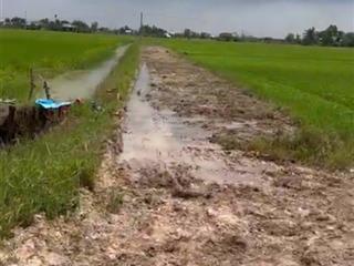 Bán đất tại xã bình hòa bắc, đức huệ, long an, 360 triệu, 1000 m2, giá ưu đãi