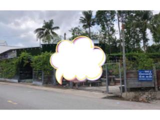 Bán đất tặng nhà cấp 4 mặt tiền đường nhựa phan tôn,phường mỹ xuyên,tp long xuyên,an giang