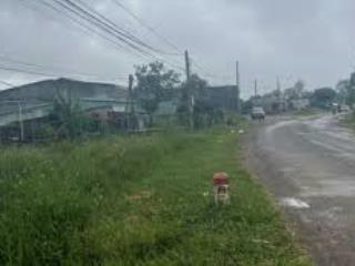 Lô đất 1.500m² bằng phẳng đường bê tông, xe tải vào