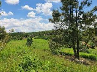 Đất nông nghiệp đẹp  đường bê tông 4m  view thoáng