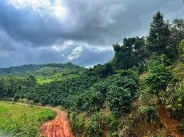 Đất nông nghiệp đẹp 1.100m² đắk nia