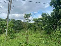 Đất nông nghiệp đẹp 1.100m² đắk nia