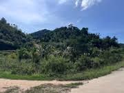 Đất nông nghiệp đẹp 1.100m² đắk nia