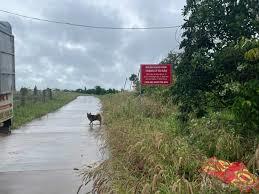 Đất nông nghiệp đẹp 1.100m² đắk nia