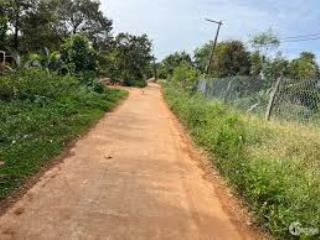 Bán đất 1.700m²  mặt bằng cao ráo  thoáng mát