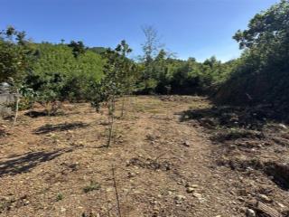 Chỉ hơn 4tr/m bán 1237m/20 thổ cư tại yên xuân, hà nội