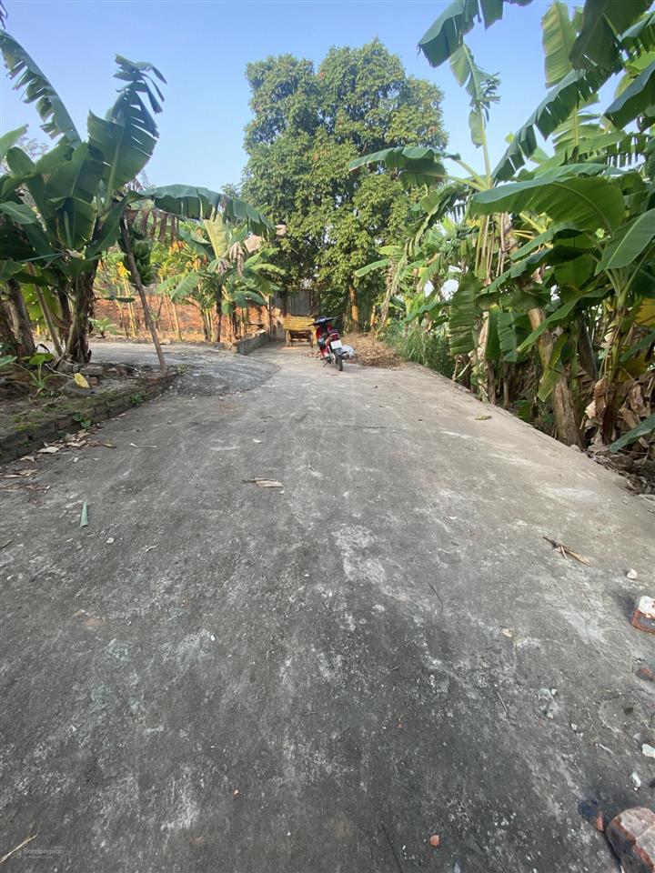 Bán đất lô góc tại hồ sen, 3,2 triệu, 46m2, mặt tiền 3.5m, ngõ 5m