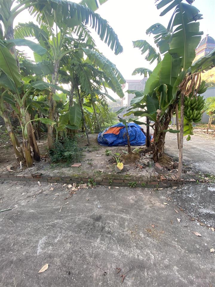 Bán đất lô góc tại hồ sen, 3,2 triệu, 46m2, mặt tiền 3.5m, ngõ 5m