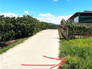 Bán 1.679m2 đất vườn có thổ cư tại tân hà, lâm hà, view đẹp