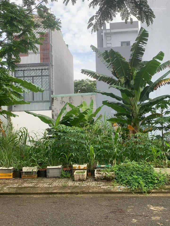Bán đất đường nhựa 10 mét thông đường 1, p. long trường quận 9, giá 3,7tỷ/75m2