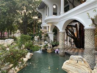 Siêu phẩm gò vấp, 50x110 (hơn 5000m2 thổ cư), mặt tiền dương quảng hàm, hơn 300 tỷ