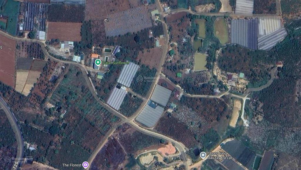Bán đất xã tà nung, tp đà lạt, diện tích 5000m² giá 20 tỷ, mặt tiền dài hơn 100m. 3 mặt tiền
