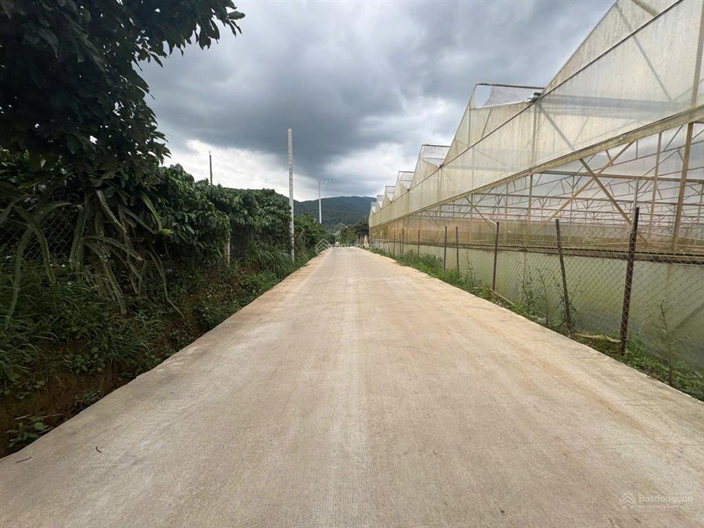 Bán đất tại phường cam ly (tà nung cũ), tp đà lạt, 12 tỷ, diện tích 3200 m2