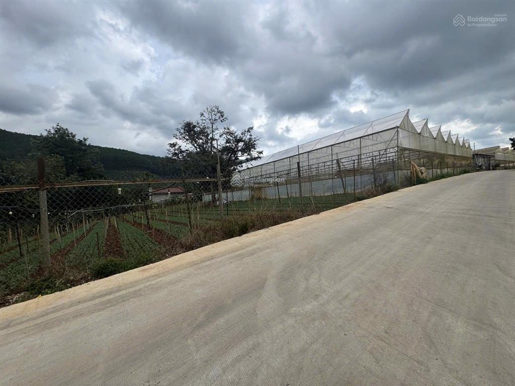 Bán đất tại phường cam ly (tà nung cũ), tp đà lạt, 12 tỷ, diện tích 3200 m2