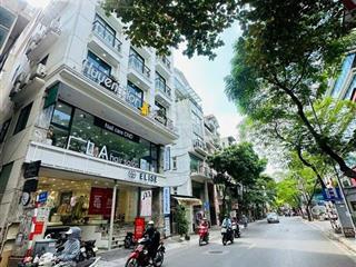 Bán nhà mặt phố tại đường thụy khuê 175m2, 9 tầng 1 hầm, giá 96 tỷ. ba đình