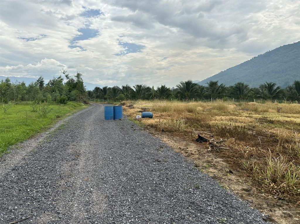 Cần bán 600 m2 đất ninh xuân, ninh hòa