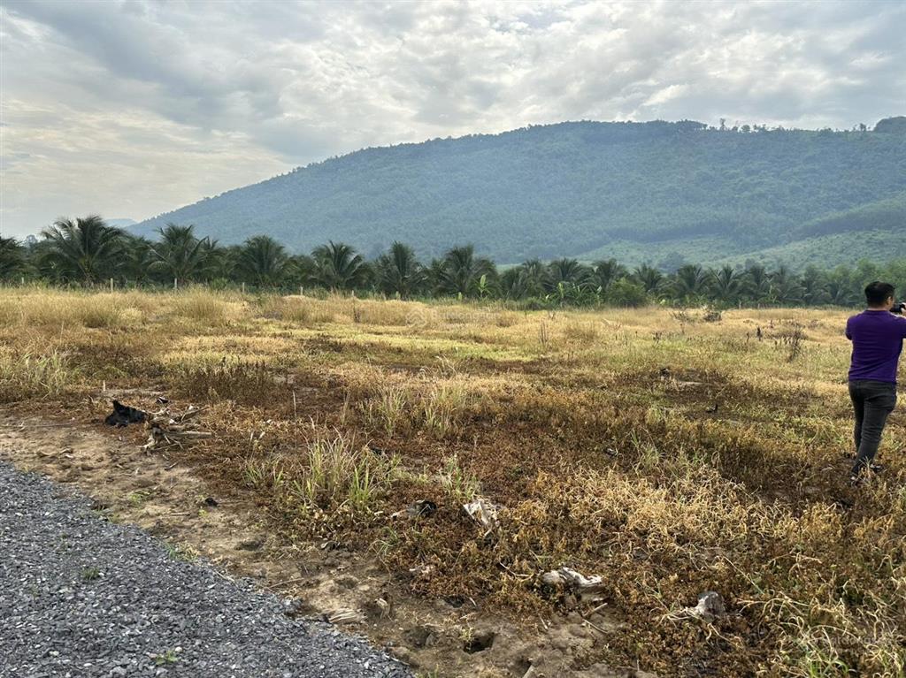 Cần bán 600 m2 đất ninh xuân, ninh hòa