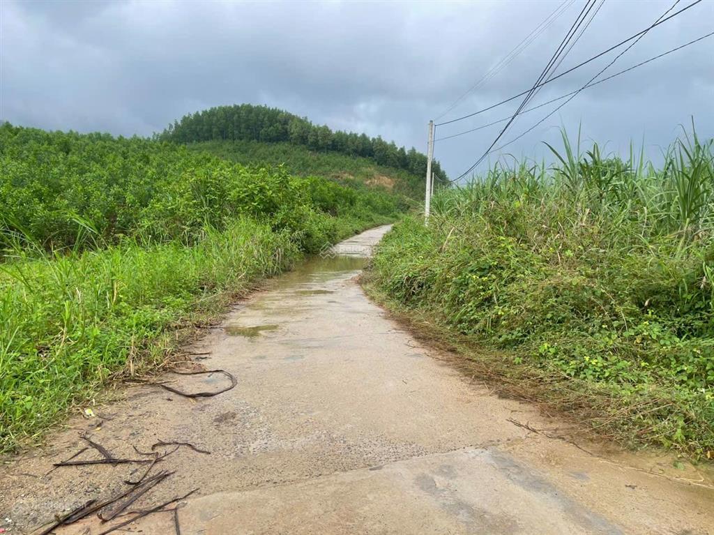 Bán lô đất dt 1.6 ha xã khánh trung, huyện khánh vĩnh