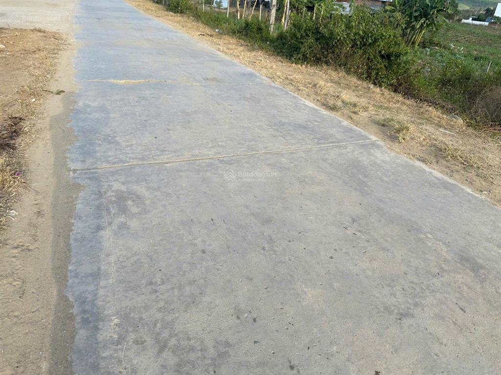 Cần bán lô đất diện tích 4.123m2 xã ninh tây, ninh hòa, khánh hòa, có thổ cư, 2 triệu/m2