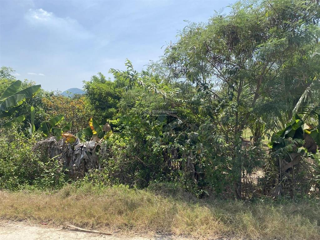 Bán lô đất dt 722m² thôn bắc, xã ninh tân, thị xã ninh hoà, tỉnh khánh hoà.