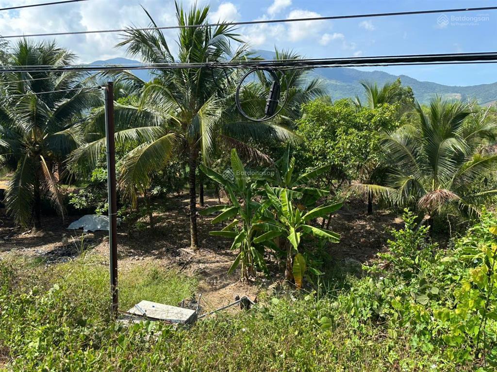 Chủ ngộp bán nhanh lô đất mặt tiền đường dt5, xã ninh tân, thị xã ninh hòa